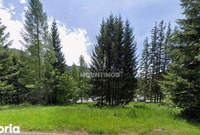Teren de 1404 mp, în Noua - 4