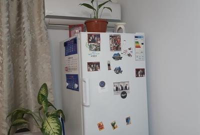 Rahova, Aleea Imasului, Salaj, 2 camere Rahova, Aleea Imasului, Salaj, 2 camere - 2