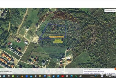 Teren de 9857 mp, în Tăuții-Măgherăuș - 3