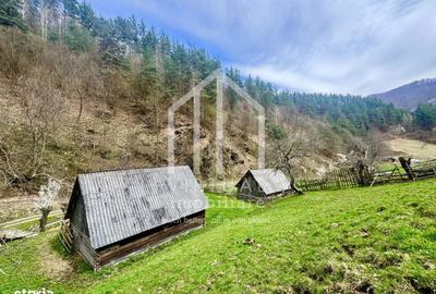 Teren de 12167 mp, în Câineni - 7