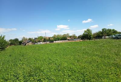 Casă cu 3 camere în Central - 5