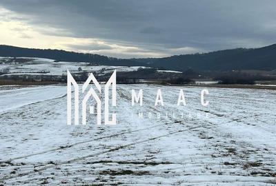 Teren agricol extravilan de 10000 mp, în Bradu - 3