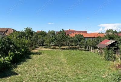 Vand casa cu etaj in Remetea Mare jud.Timis,240 mp locuibili si 1500 mp teren - 3