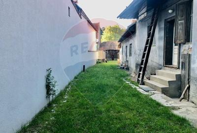 Casă individuală cu 4 camere cu Teren 979 Mp în Tohanu Vechi - 4