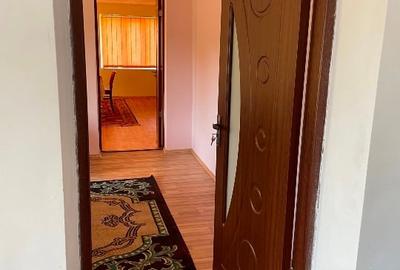 Casa i Mehadica - 9