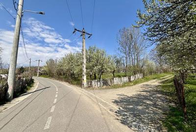 Spațiu comercial, în Central - 2