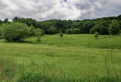 Teren la padure, panoramic dealuri si paduri, curent si asfalt - 10