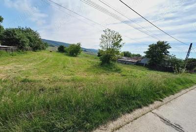 Teren de 4500 mp, în Siliștea - 5