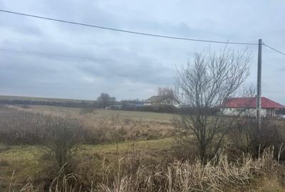 Teren 28 ari, drum principal - 6