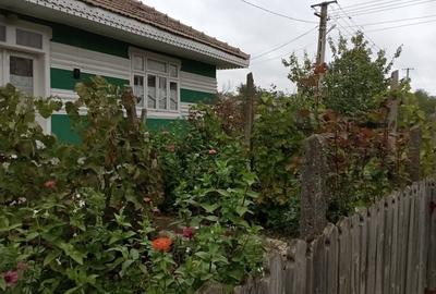 Casa de vânzare Rânceni, Vaslui - 3