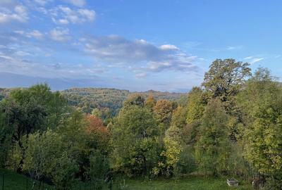 Casă cu 3 camere în Adunați - 3