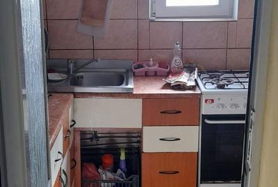 Casă cu 4 camere în Viile Noi - 2