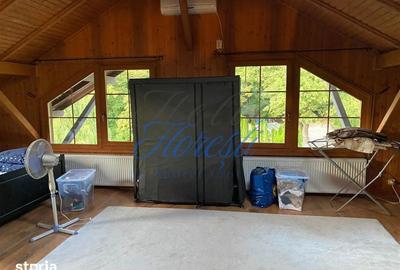 Casă cu 5 camere cu Teren 3000 Mp în Făget - 12