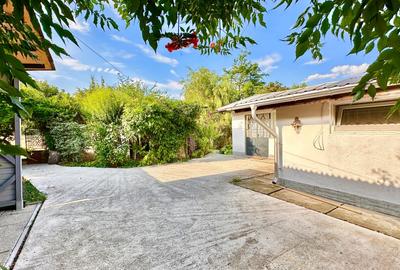 Ciorogarla casa 4 dormitoare, teren 1200 mp - 3