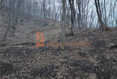 Teren de 1000 mp, în Merei - 4