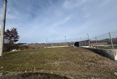 Teren Construcții intravilan de 802 mp, în Pișchia - 11