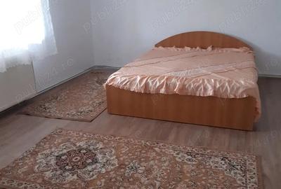 Casă cu 2 camere în Șagului - 9