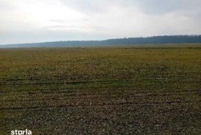 Teren de 635 mp, în Hârsești - 2
