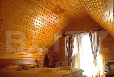 Cabana in Predeal, perfecta pentru turism 7 dormitoare - 4