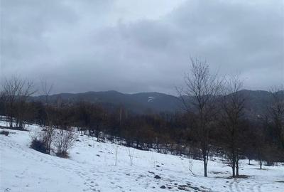 Teren intravilan de 5229 mp, în Șotrile - 4