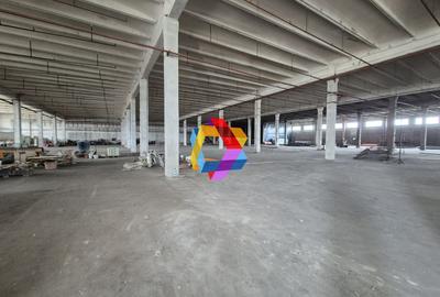 Spațiu industrial, de 1,500 mp, în Bartolomeu - 3
