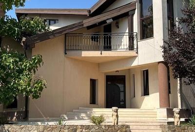 Vila Exclusivista - Visan - Profi - 4