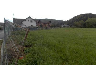 5200 sau 2600 mp teren vanzare,direct proprietar, parcelabil, apropiere Arinis - 6