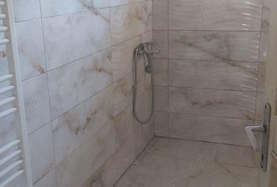 Casa Bocsa Montana pretabila credit 500 mp negociabil - 4