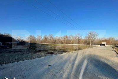 Teren de 6500 mp, în Podari - 1