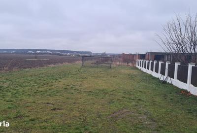 Spațiu comercial, în Corbeanca - 13