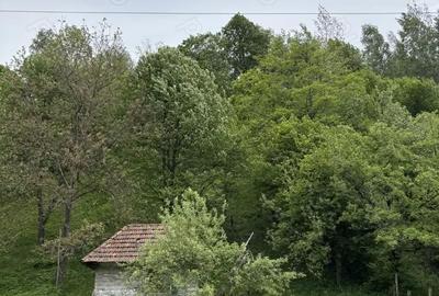 Casă cu 2 camere cu Teren 3350 Mp în Munteni - 3