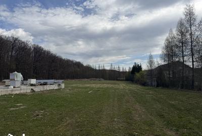 Teren de 9850 mp, în Mitocu Dragomirnei - 2