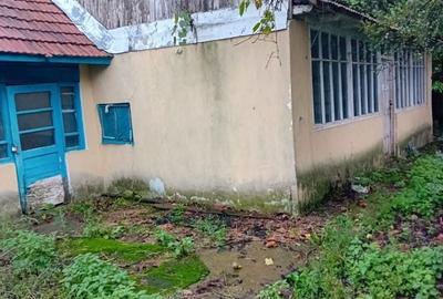 Casă cu 2 camere în Prisăcani - 3