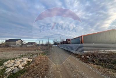 Teren Construcții extravilan de 1000 mp, în Câmpineanca