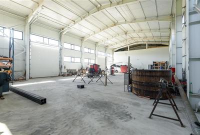 Spațiu comercial, de 590 mp, în Cărpiniș - 35