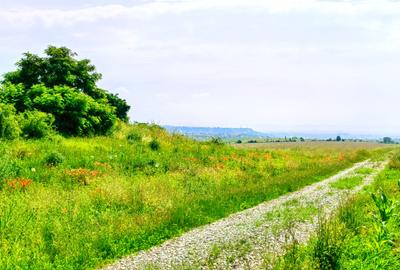 28.554 mp TEREN EXTRAVILAN, TURDA - SĂNDULEȘTI, jud. CLUJ, 300 m de AUTOSTRADA - 21