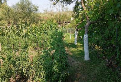 Casa de vinzare urgent la ?ara - 4