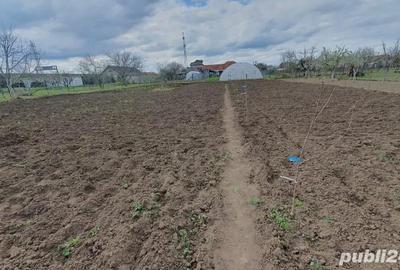 Casă cu 5 camere cu Teren 2023 Mp în Aradul Nou - 1
