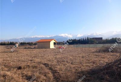 Teren intravilan 2000 mp de vanzare pe Valea Avrigului - 4