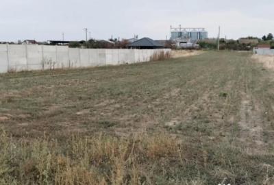 Teren de 1050 mp, în Cârcea