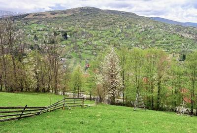 Teren cu priveliste panoramica , 2 deschideri la sosea asfaltata Teren cu priveliste panoramica , 2 deschideri la sosea asfaltata - 4