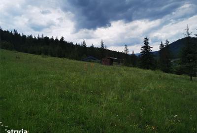 Teren de 1000 mp, în Mălini - 4