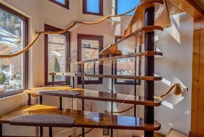 VILA SCANDINAVIA / Pensiune / Moieciu de Sus - 9