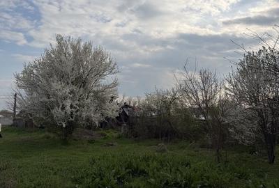 Casă cu 3 camere în Predești - 7