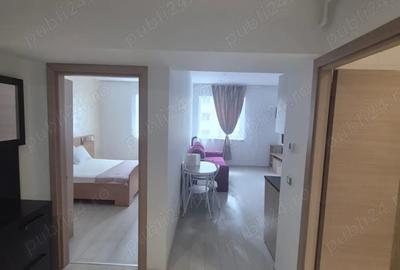Vand apartament 2 camere la Rin grand hotel - 11