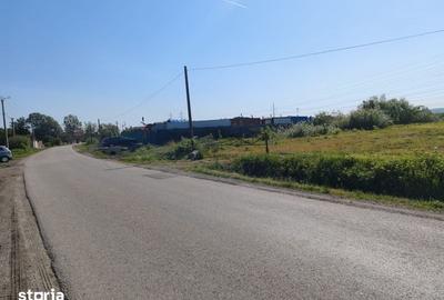 Teren de 42 mp, în Pănet - 4