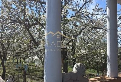 Vila 9 camere***gradina cu pomi fructiferi//1085 mp teren***Dragomiresti-Deal - 1