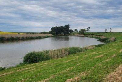 Teren de 395 mp, în Frumușani - 2