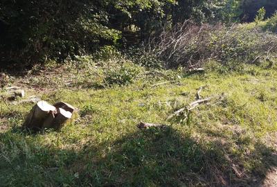 Roscani-Dobra-Teren Cabana-10km A1-Posibilitate Rate Roscani-Dobra-Teren Cabana-10km A1-Posibilitate Rate - 2