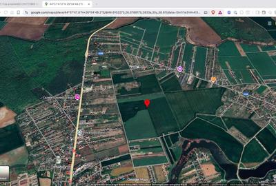 Teren extravilan 18.200 mp Saftica Balotesti - 4